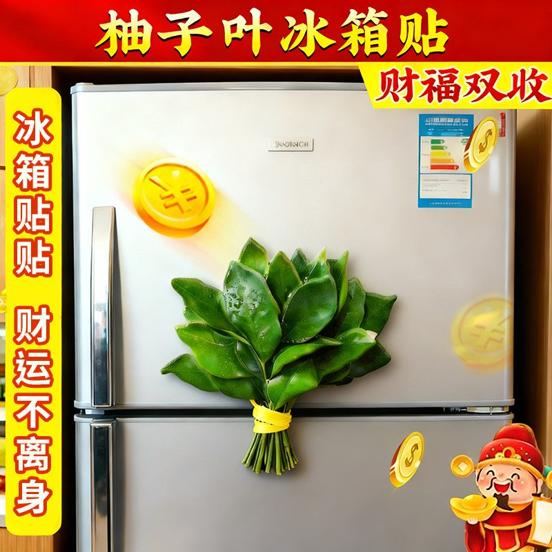 柚子叶冰箱贴2025新款磁贴个性创意磁吸装饰可爱趣味高级亚克力,家居饰品,冰箱贴,淘宝优惠券,粉丝福利购,淘宝优惠卷