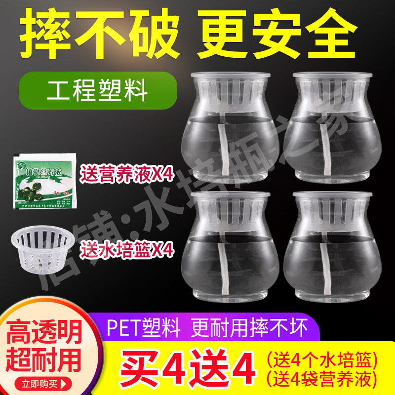 水培花瓶器皿幼儿园学校