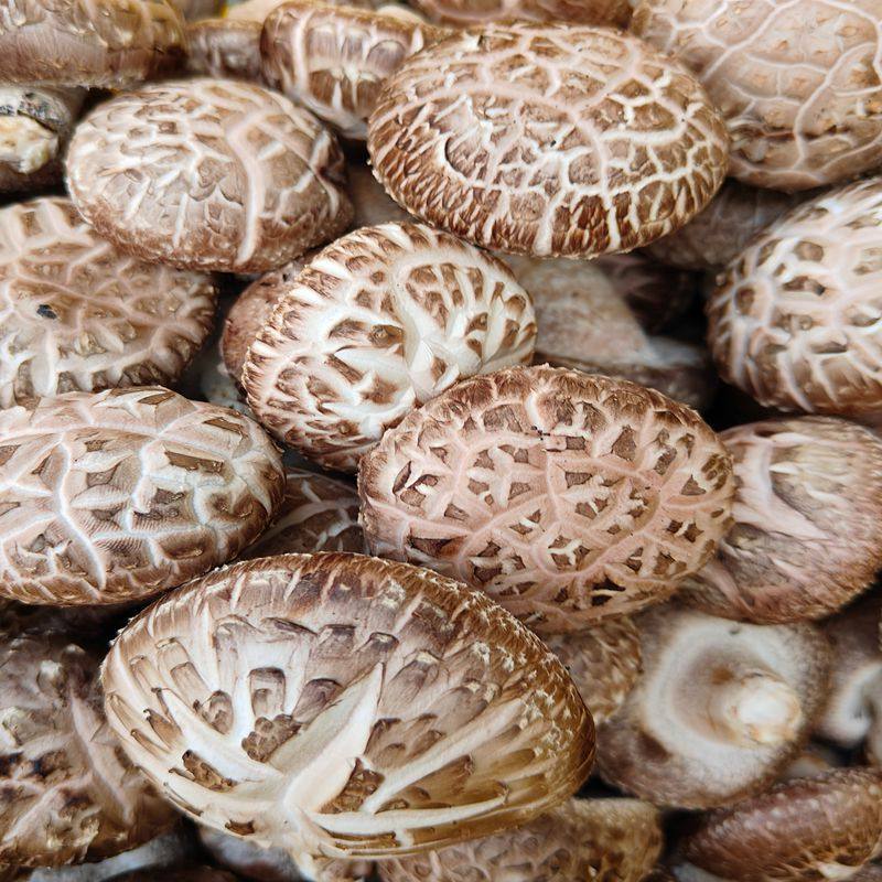 新鲜花菇鲜花菇本地蘑菇煲汤炒菜肉厚味香蔬菜河南农家采摘食用菌,水产肉类/新鲜蔬果/熟食,其它,淘宝优惠券,粉丝福利购,淘宝优惠卷