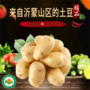 沂蒙荟馨园农场直发时令新鲜有机土豆 没有任何药物残留健康营养