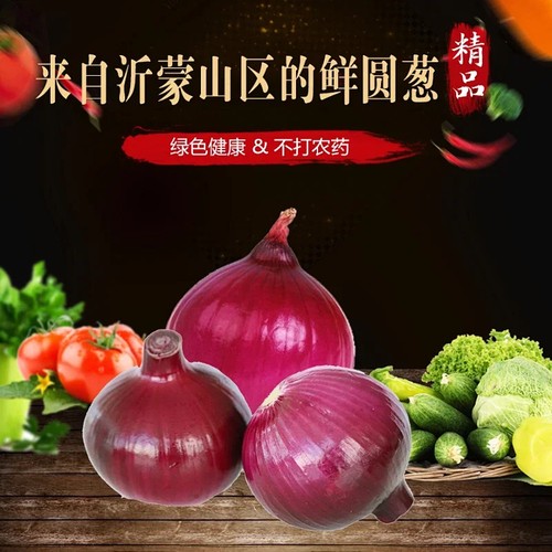 沂蒙荟馨园现摘紫皮圆葱天然种植