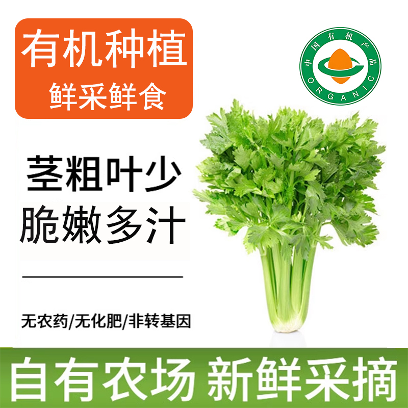 荟馨园有机西芹新鲜放心安疗首选