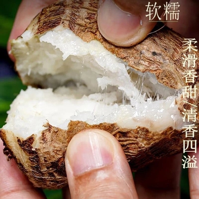 新鲜老品种的生态种植新鲜小芋头沂蒙特产无虫药【略带虫眼】