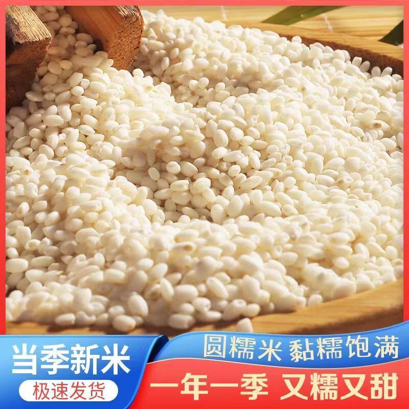 白糯米长圆糯米饭包粽子做糍粑