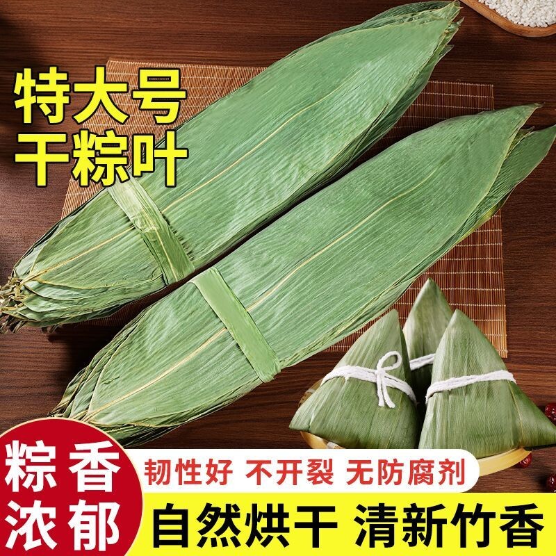 新鲜干粽叶端午节包粽子天然家用