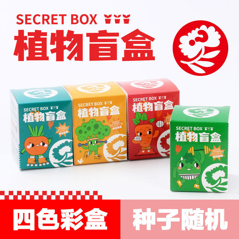 手工种子盲盒儿童种植小盆栽儿童种菜种植小盆栽植物生长观察礼品