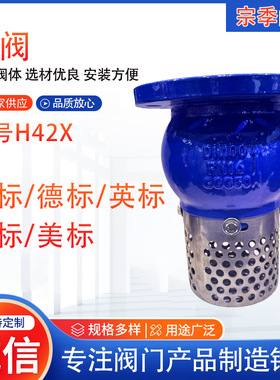 厂家供应 H42X底阀球墨铸铁出口过滤网水泵止回阀防止逆流阀 底阀