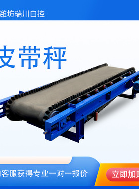 B1000皮带秤 冶金煤炭皮带称 DTll带式输送机 辽宁定量给料机