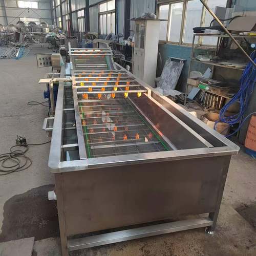 不锈钢中药材清洗全套设备红景天去泥清洗机5000型喷淋式清洗机