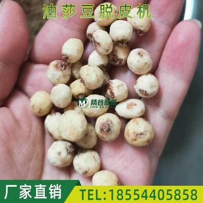 油莎豆脱皮机去皮 全自动虎坚果脱皮机油莎草脱皮机 厂家直销