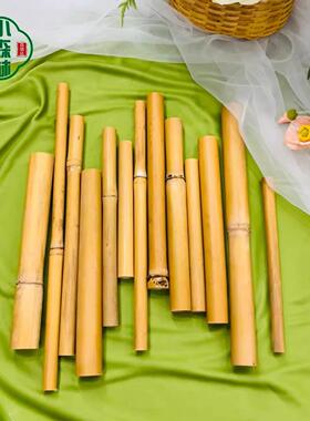 天然黄色晒干 干竹竿小竹子婚庆桌面摆件绿色竹子花艺装饰大小短