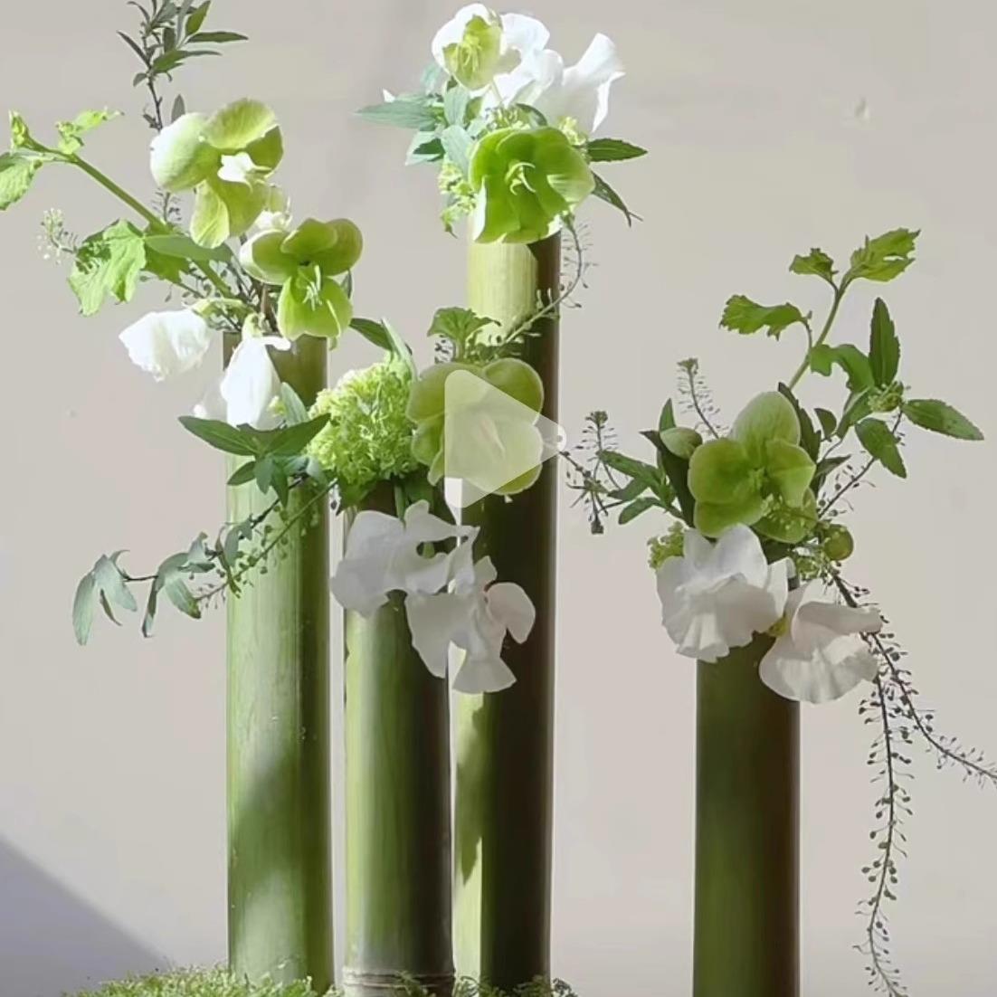 新鲜绿色插花竹筒瓶摆件竹管小竹子花艺竹节环创婚庆摆件竹制花器