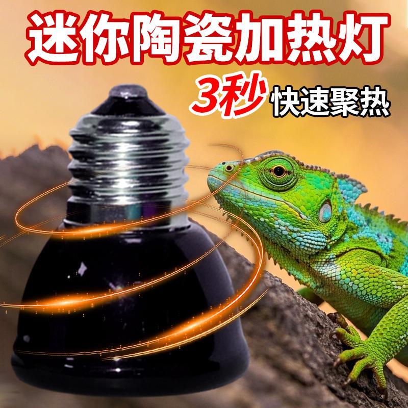 陶瓷加热灯爬宠无光取暖红外线 线uvb灯泡鹦鹉陆龟发热保温宠物烤