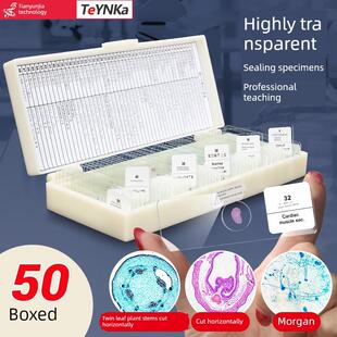 显微镜观察永久标本切片50片装学生教学实验动植物细菌样本载玻片