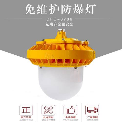 电厂LED防爆平台灯厂家70W100W防水防尘护栏弯杆防爆LED平台灯