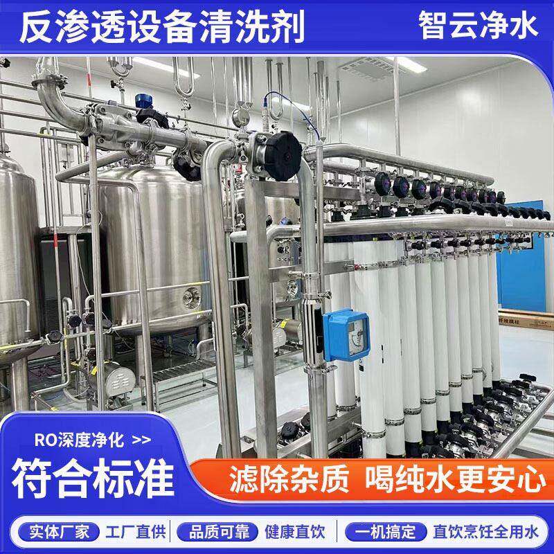原水处理设备工业反渗透纯水机乡镇用水净水设备水库河水过滤净化