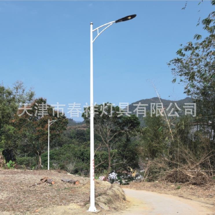 LED路灯杆LED灯具厂家生产12米单弯杆单臂杆户外镀锌灯杆