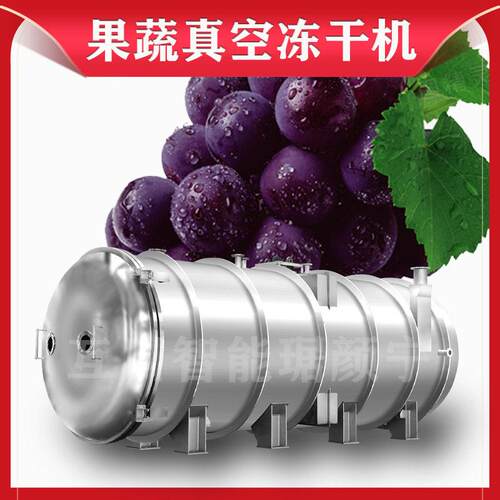 大型200平方冻干机食用菌冻干设备 羊肚菌鹿茸真空冷冻低温干燥机