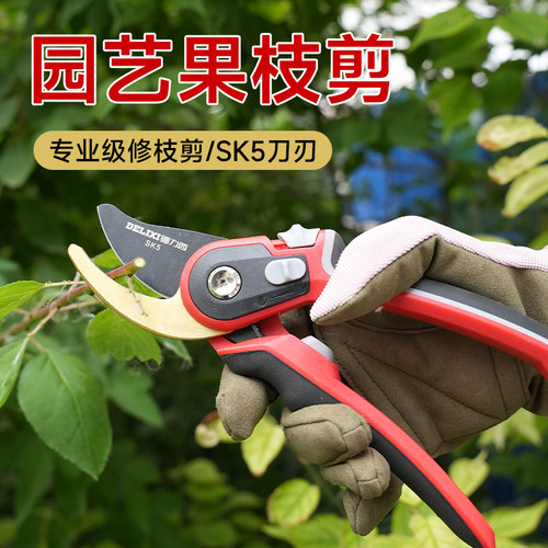 德力西园艺剪果枝剪花木剪园林花卉树枝果树藤蔓剪刀修枝剪刀