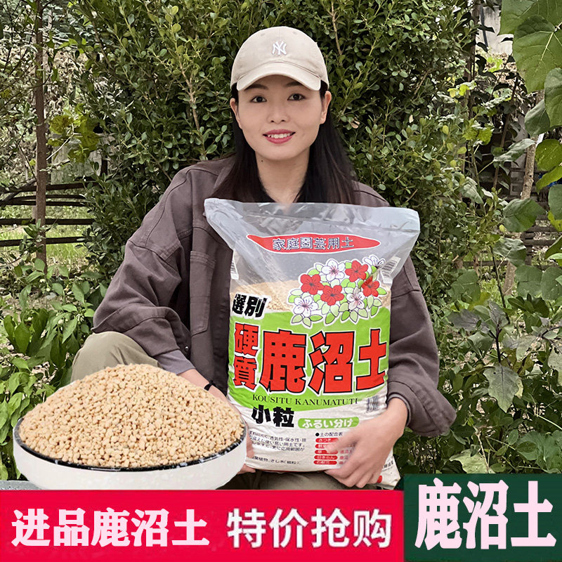 进口鹿沼土多肉盆景兰花土专用颗粒铺面石颗粒土喜酸性花土