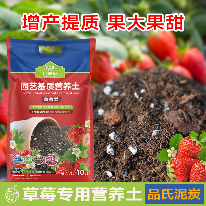 月逸轩草莓专用土疏松透气