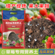 种草莓专用营养土壤种植土泥炭土鹿沼土品氏泥炭通用土
