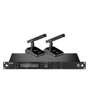 湖山无线话筒传声器（单主机）DS-UT20W 台