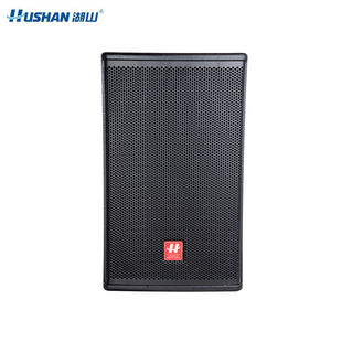 湖山 音响MT100A影院音响娱乐商务会议室 只