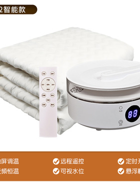 智能水循环水暖毯水电分离电热毯单双人水暖家用冬季恒温电褥子