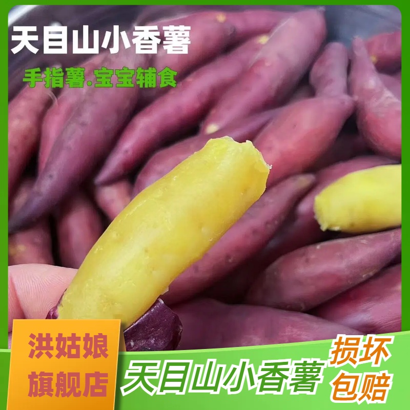 迷你手指薯现挖临安天目山小香薯