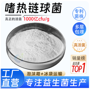 嗜热链球菌1000亿 g食品原料冻干型乳酸菌高活性现货供应厂家正品