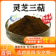 灵芝三萜10%灵芝提取物水溶食品级原料灵芝粉三萜类皂甙 厂家现货