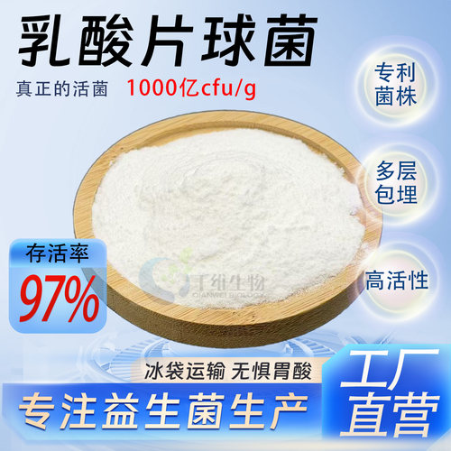 乳酸片球菌1000亿cfu/g高活性冻干型益生菌粉食品级原料 厂家正品