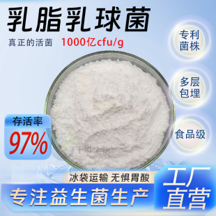 高活性食品水溶原料厂家正品 g冻干型益生菌 乳脂乳球菌1000亿cfu