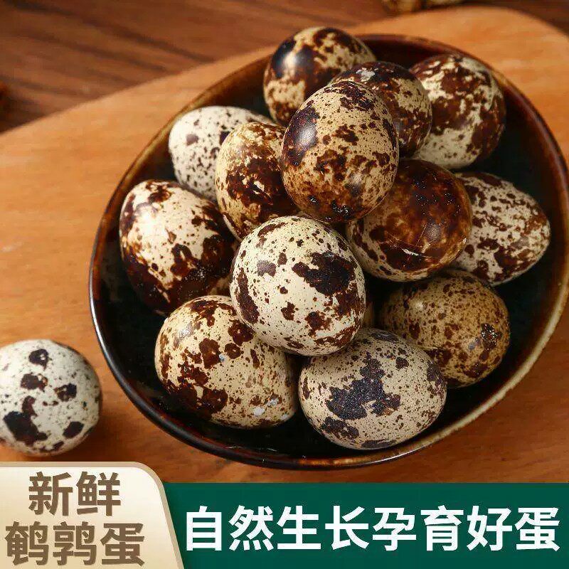 新鲜散养杂粮鹌鹑蛋营养宝宝辅食生鹌鹑蛋包邮50枚坏了包赔