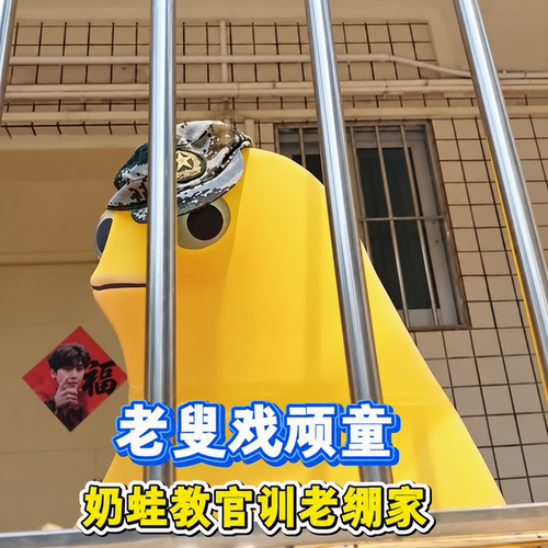 奶蛙教官好！大学生军训奶龙立牌搞笑整蛊超大号人形牌抽象摆件