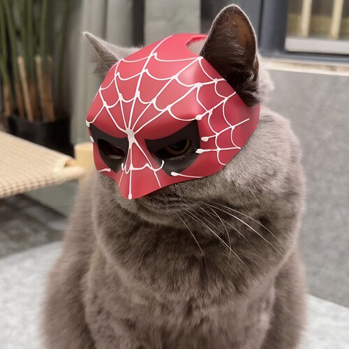 蜘猫侠！猫咪蜘蛛侠面罩面具帽子