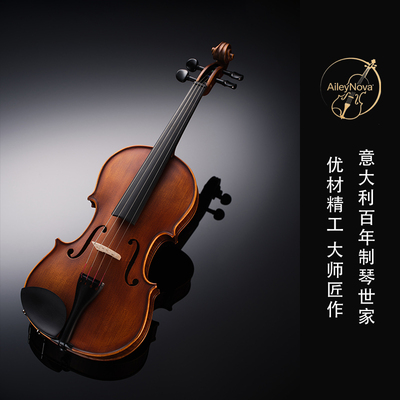 AileyNova乐见V12全手工小提琴