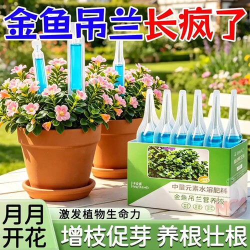 【1.9元1盒】金鱼吊兰营养液盒装清仓专用液肥促花催花根系发达