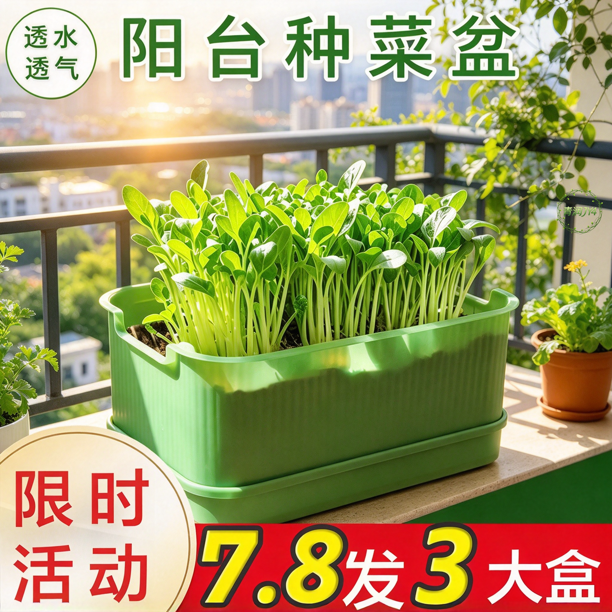 多功能黄豆绿豆专用豆芽发芽神器大容量水培盆家用豆苗种植育苗盆