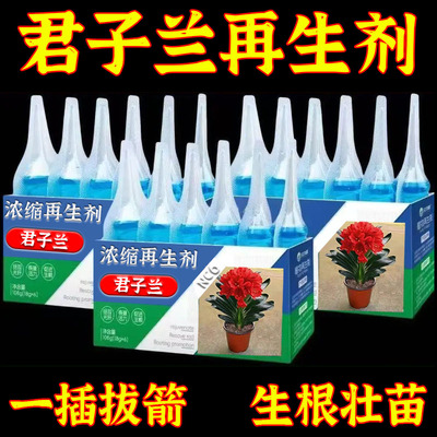 君子兰营养液专用肥治叶子发黄通用浓缩植物形营养液生根壮根液体