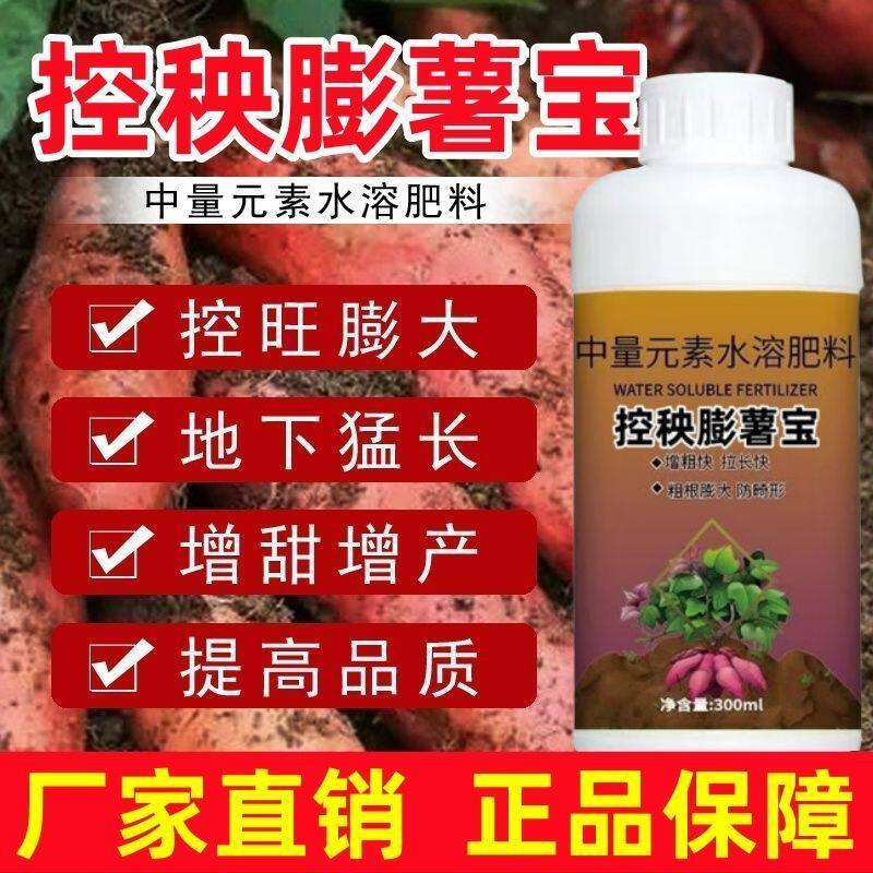 控秧膨薯宝红薯增产叶面肥