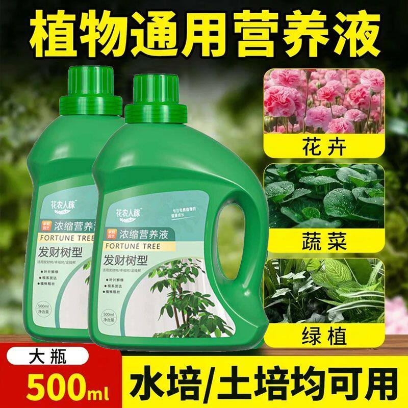 500ml浓缩营养液植物通用型绿萝富贵竹发财树多肉水培养花卉绿植