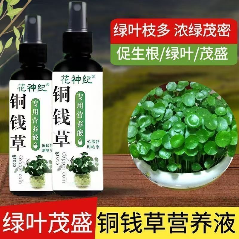 铜钱草营养液水培植物促进生长发芽促生根强根壮叶专用营养液