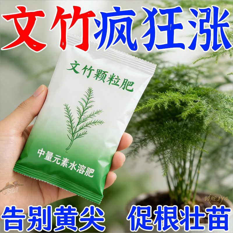 【爆芽王】文竹灌根剂专用肥防叶子发黄枯瘦干尖烂根促生长浓缩肥
