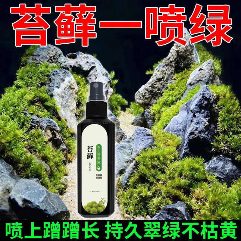 苔藓专用营养液防枯黄增绿促长