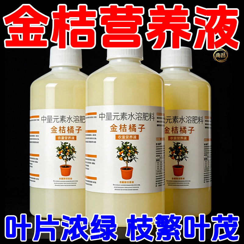 金桔橘子树专用营养液室内盆栽