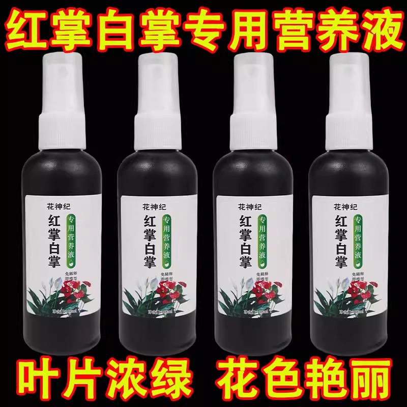 【双掌齐放】白掌专用营养液红掌专用肥保花专治黄叶烂根不开花