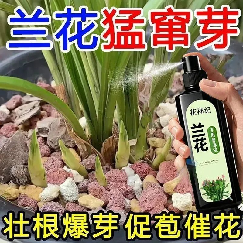 花神纪兰花爆根绿防枯叶营养液