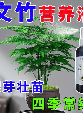 新店半折】文竹专用肥营养液治叶子发黄枯瘦干尖烂根落叶促生长